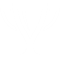 iconmonstr-trophy-4-240-1.png